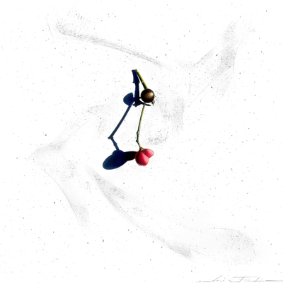  | Hope (7)