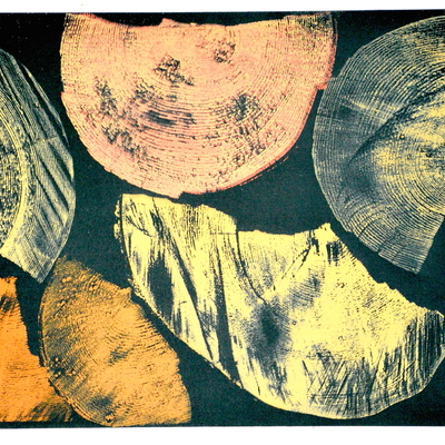  | LEGNO LUNARE: ASTEROIDI