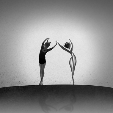 Martina Herz | Tulip dance