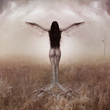 Martina Herz | Metamorphosis
