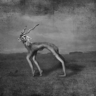  | Amorphous