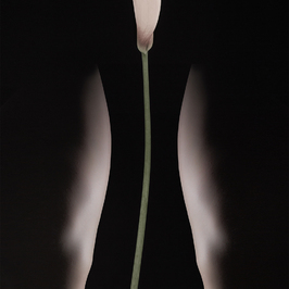  | Vase