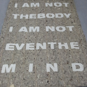  | work ”IAMNOTTHEBODYIAMNOTEVENTHEMIND”)