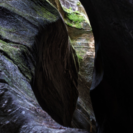  | SPLITTED ROCK