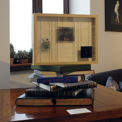  | Testimonianza oculista in esposizione