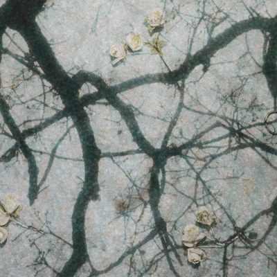  | Trasures #3