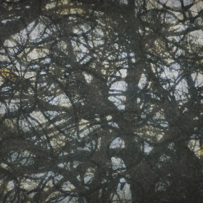  | Trasures #2