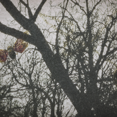  | Trasures #16