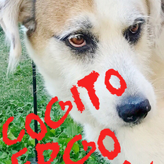  | “COGITO ERGO SUM”
