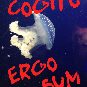  | “COGITO ERGO SUM”