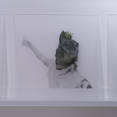  | De-generazione #20