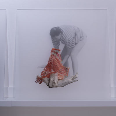  | De-generazione #21