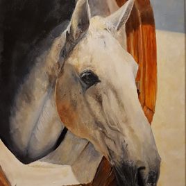  | Horse