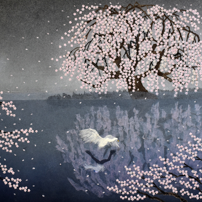  | Swan