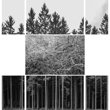  | Projekt Riese