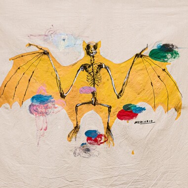 Aimone Bonucci | Mercurio