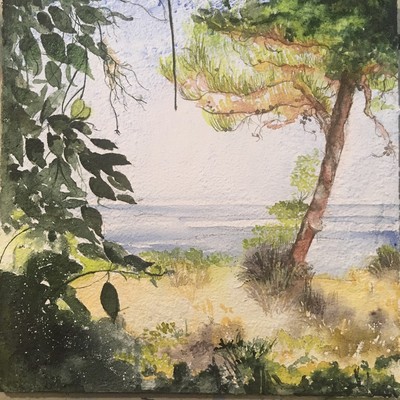  | #Semprecaromifuquestermocolle