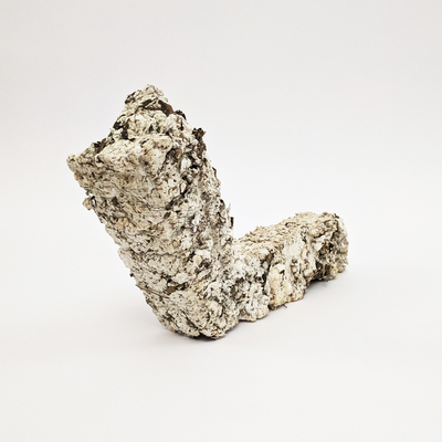  | Scultura Robinia 03