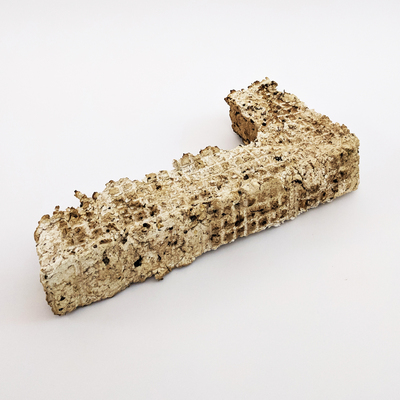  | Scultura Bacche Nere 02