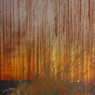 Martino Neri | Senza Titolo