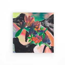 Tiphaine Bonnaud Van De Sype | Untitled