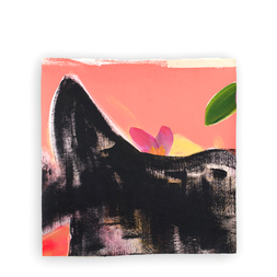 Tiphaine Bonnaud Van De Sype | Untitled