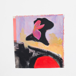 Tiphaine Bonnaud Van De Sype | Untitled