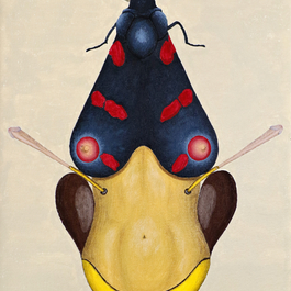 Alexandre Schuck | Float and Sting