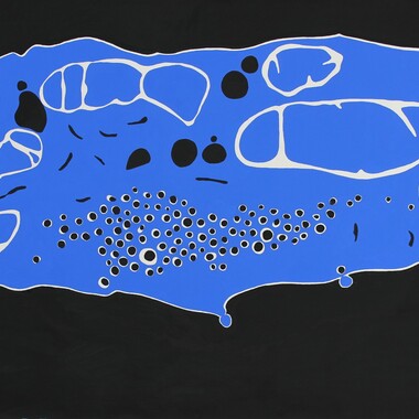 Ana Iribas Rudin | Micro World II