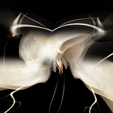 Friedrich Malina | Untitled #5