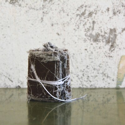  | Rotolo