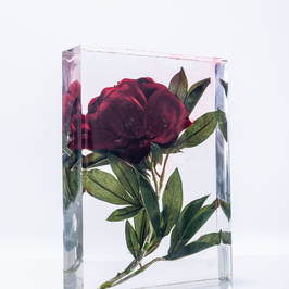  | Simulacrum I