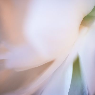  | Heaven - Butterlfy