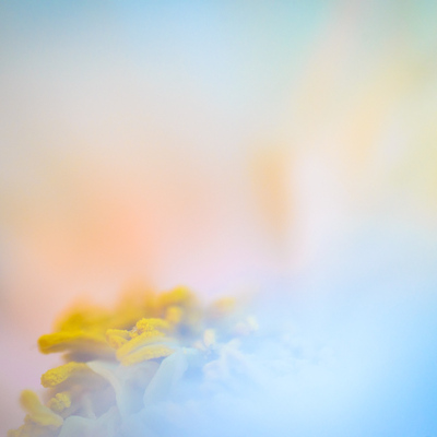  | Heaven - Oneness