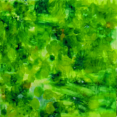 Pictor Nubes | Enigma della Foresta