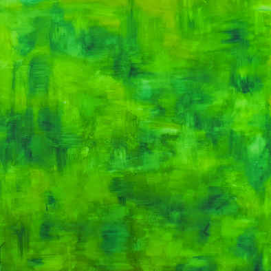  | enigma della foresta 0.1