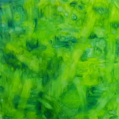  | enigma della foresta 0.2