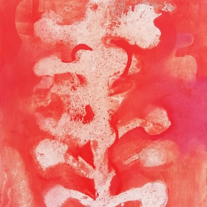 Valentina Cima | Caduceus