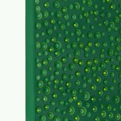  | soloverde 2-21