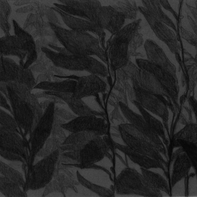  | Lo spirito tuffatore - selected frame