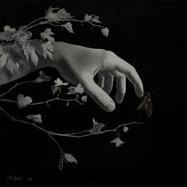 Andrea Brighenti | Crisalide