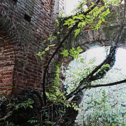 Andrea Savazzi | The creeper