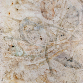 Barbara Visciano | Earth’s vibrations