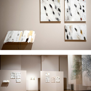 Camilla Rossi | Semina!