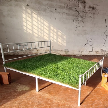 Chiara Marchesi | Pasitea