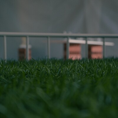  | Pasitea