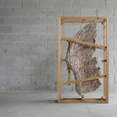  | Cage n&deg; 1