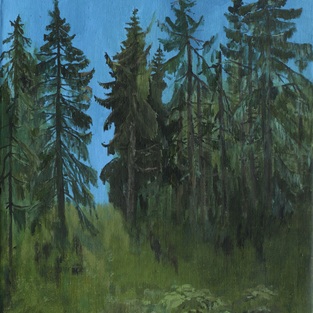  | Mets&auml;tie