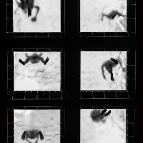 LAURA BOLOGNESI | FOOTPRINTS