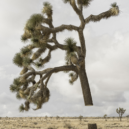 Marcel Stahn | It’s all I can do